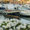 bateaux amarrés dans un port méditerranéen avec fleurs blanches au premier plan