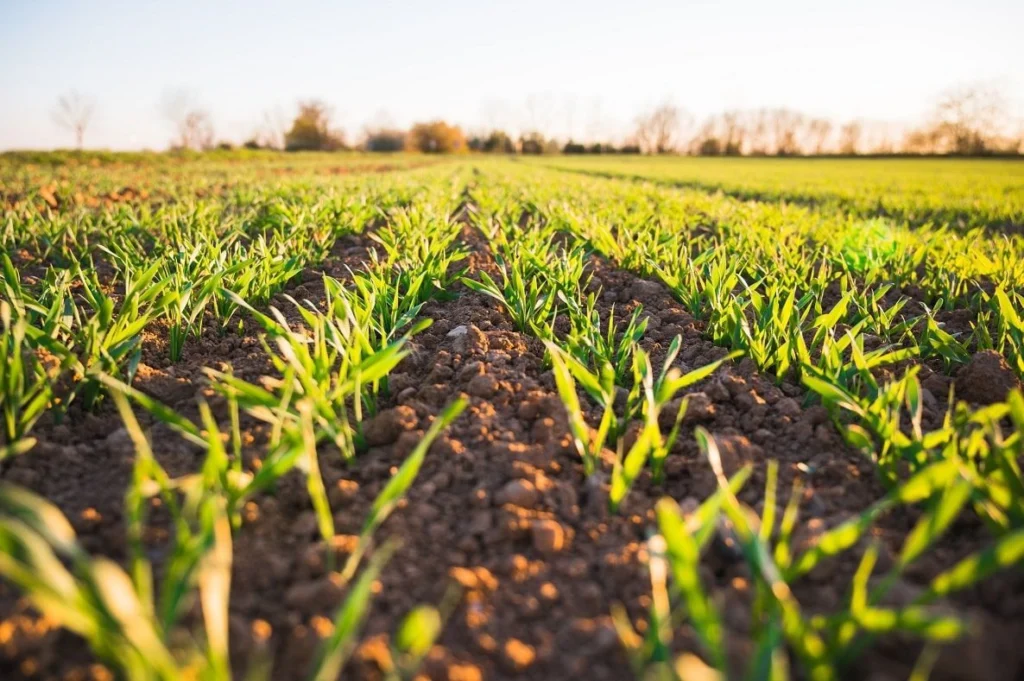 Comment les innovations vertes transforment l’agriculture moderne en France