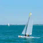 Two sailboats navigating on a clear blue sea under a bright sky, perfect for a sailing adventure.