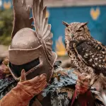 A medieval knight in full armor holding a majestic owl, set in Les Epesses, France.