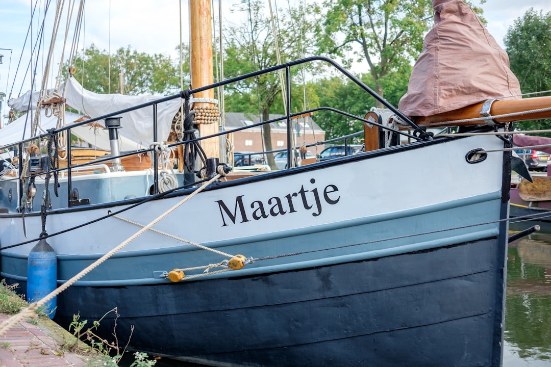 Barque Marais Poitevin Vendée : Guide Complet 2026