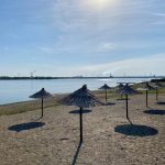 a bunch of umbrellas that are in the sand