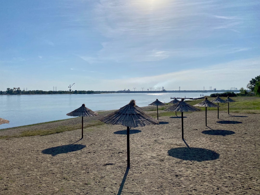 a bunch of umbrellas that are in the sand