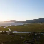 green grass field near body of water during daytime