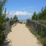 Serene sandy path through pine trees leading to the ocean under a bright blue sky in Nouvelle-Aquitaine, France.