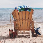 a dog sitting next to a chair on a beach