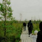 People walk on a wooden path through a marsh