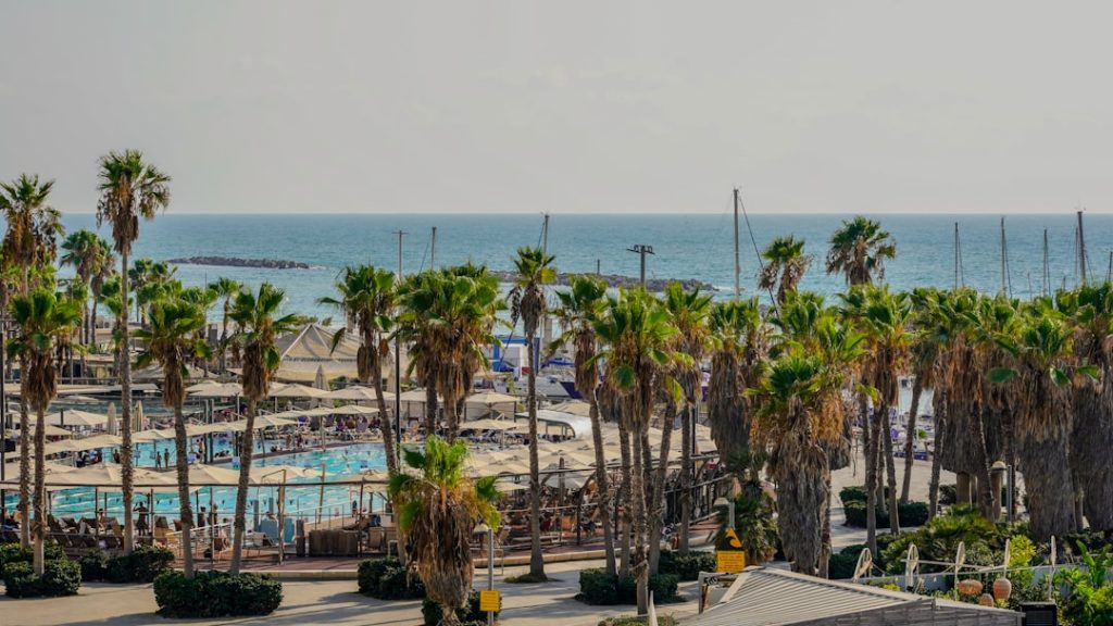 A view of a beach with palm trees and the ocean in the background