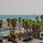 A view of a beach with palm trees and the ocean in the background